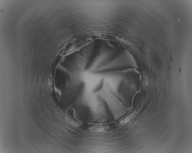 X0000077310661200611031642