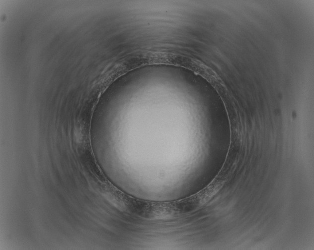 X0000077310663200611031642