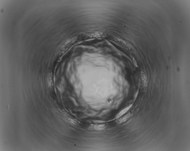 X0000077310665200611031642