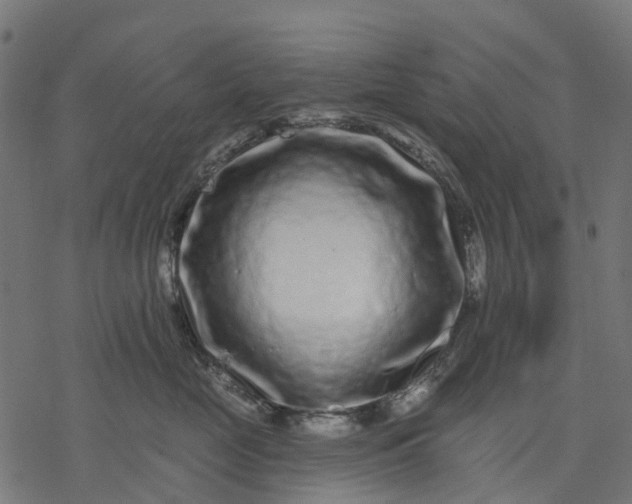 X0000077310669200611031642