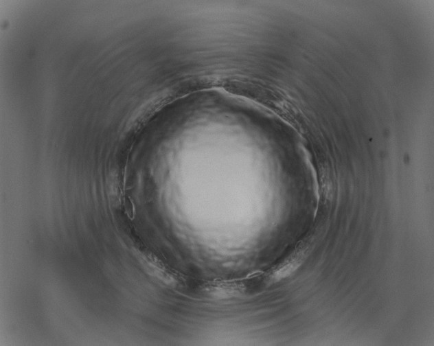 X0000077310670200611031642