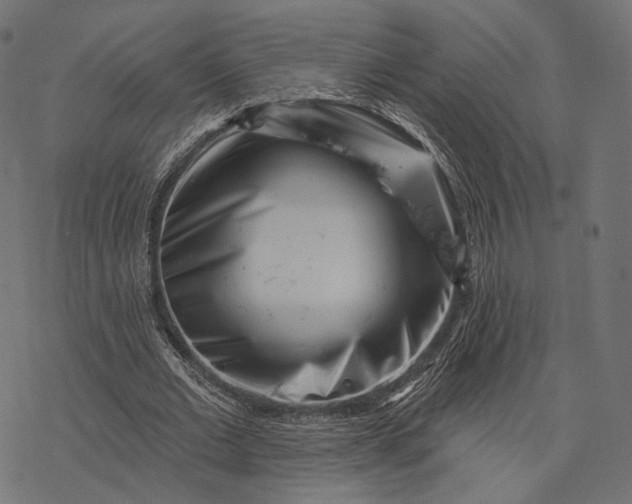 X0000077310677200611031641