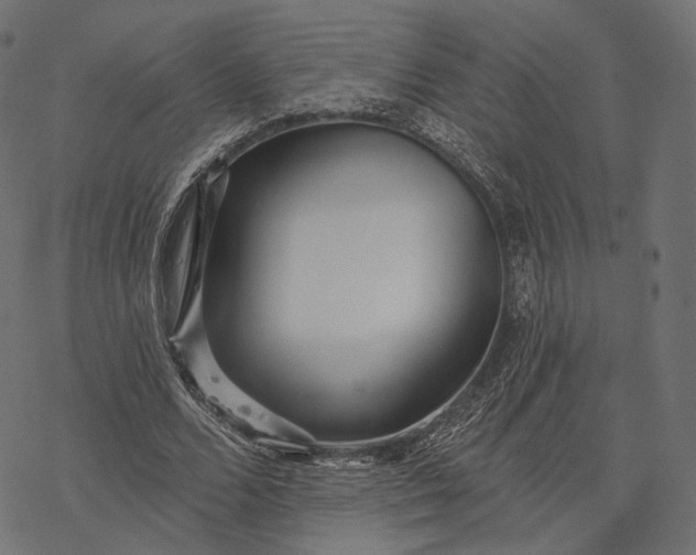 X0000077310680200611031641