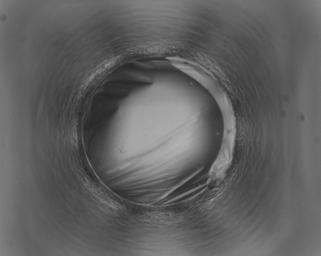 X0000077310681200611031641