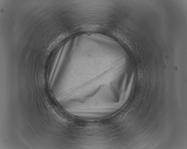 X0000077310682200611031641