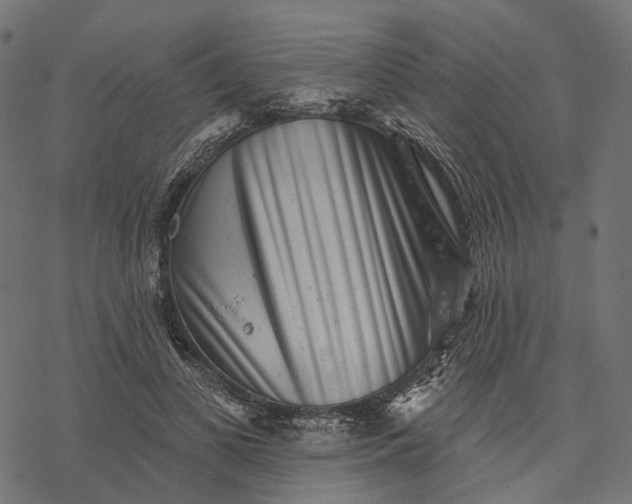 X0000077310693200611031641