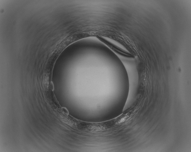X0000077310697200611031641
