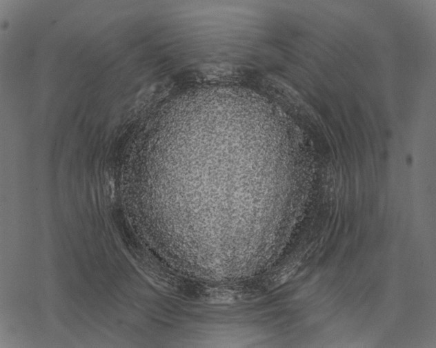 X0000077310703200611031641