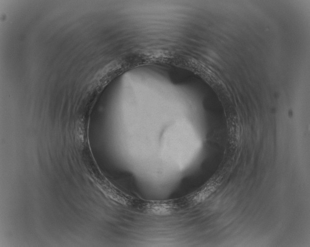 X0000077310710200611031640