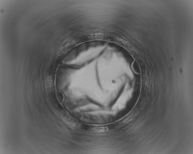 X0000077310711200611031640