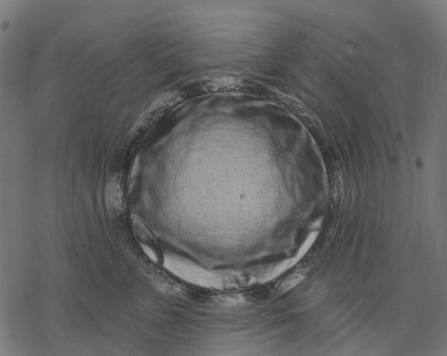 X0000077310715200611031640
