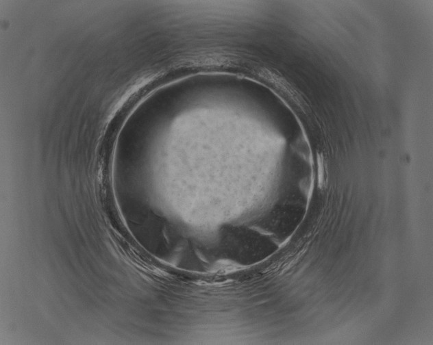 X0000077310723200611031639