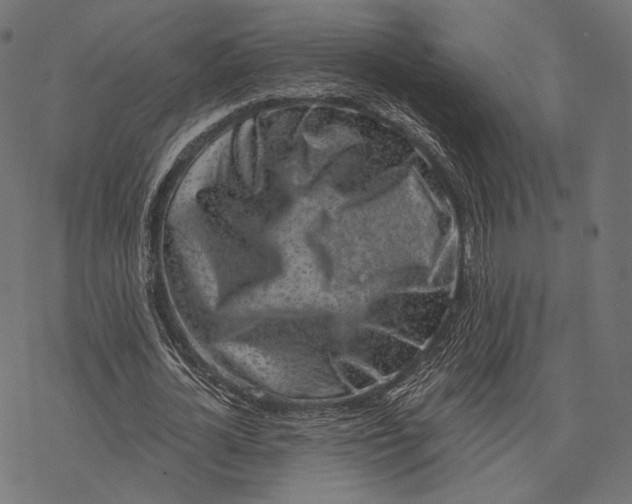 X0000077310724200611031639
