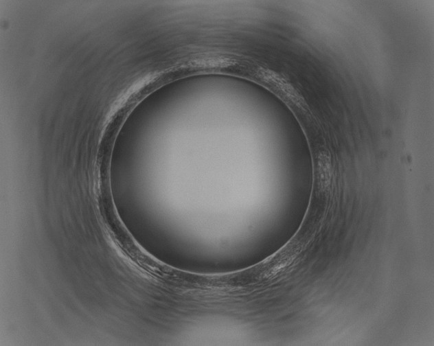 X0000077310726200611031640