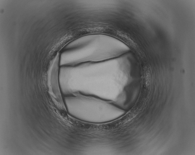 X0000077310729200611031640