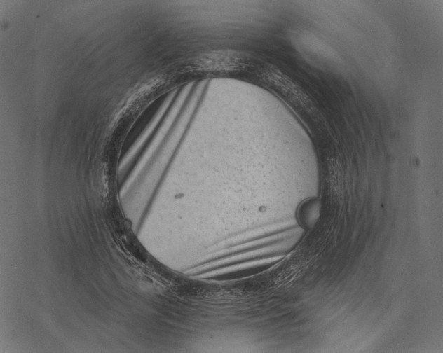 X0000077310731200611031640