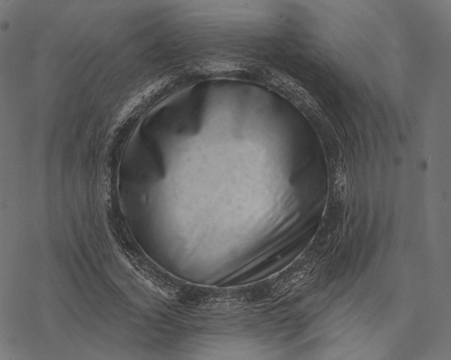 X0000077310732200611031640