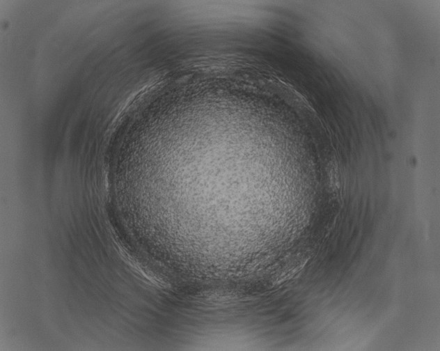X0000077310733200611031640