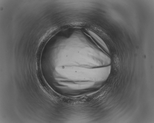 X0000077310734200611031640