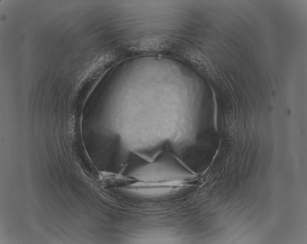 X0000077310735200611031640