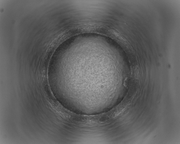 X0000077310737200611031640