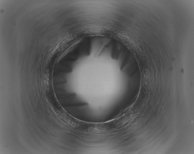 X0000077310739200611031640