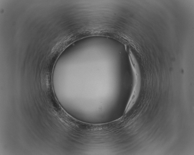 X0000077310740200611031640