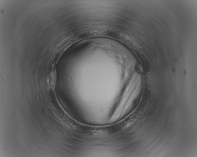 X0000077310741200611031640