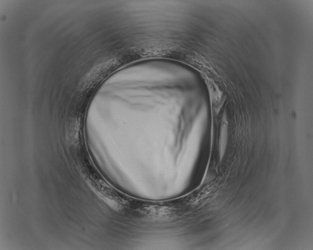 X0000077310742200611031640