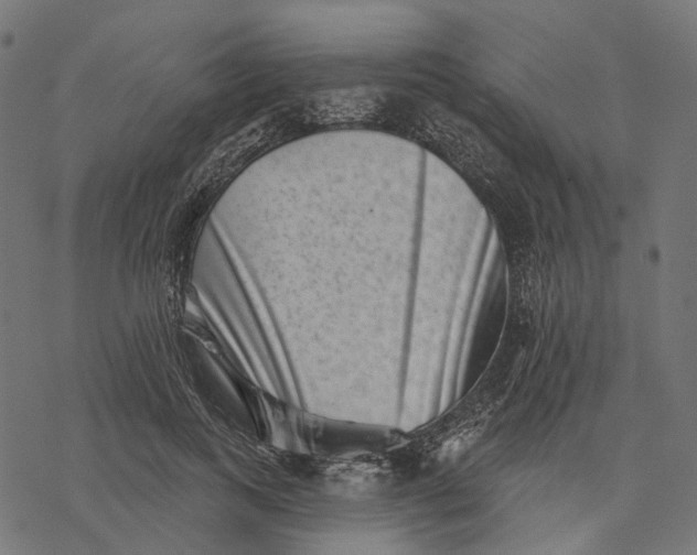 X0000077310743200611031640