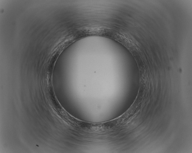 X0000077310744200611031640