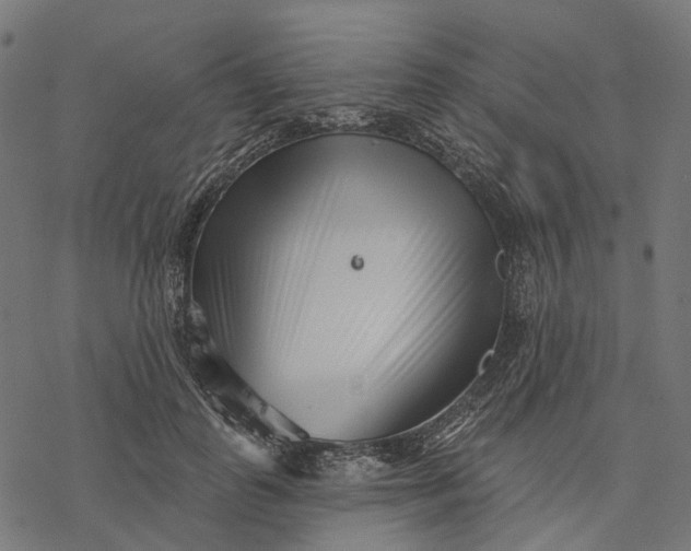X0000077310747200611031640