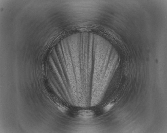 X0000077310748200611031640