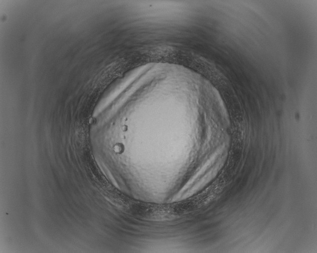 X0000077310753200611031640