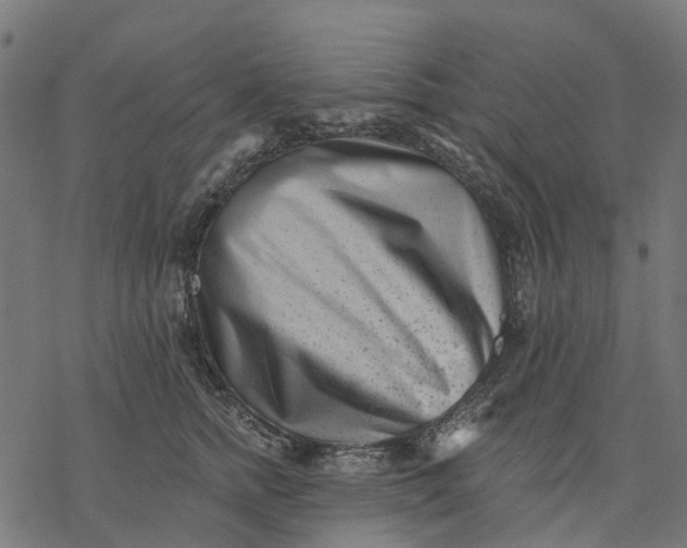 X0000077310758200611031640