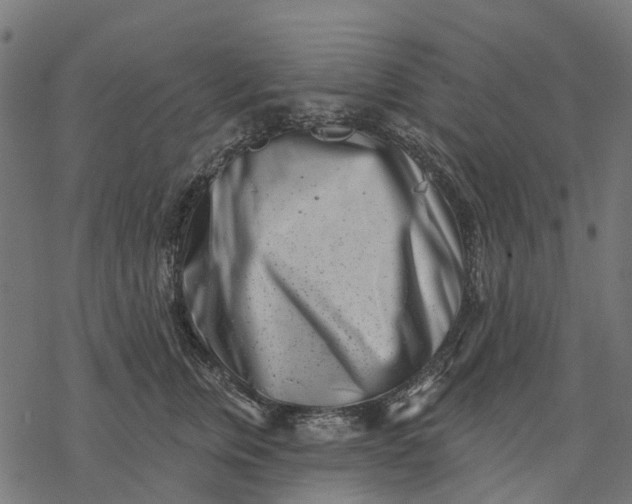 X0000077310759200611031640