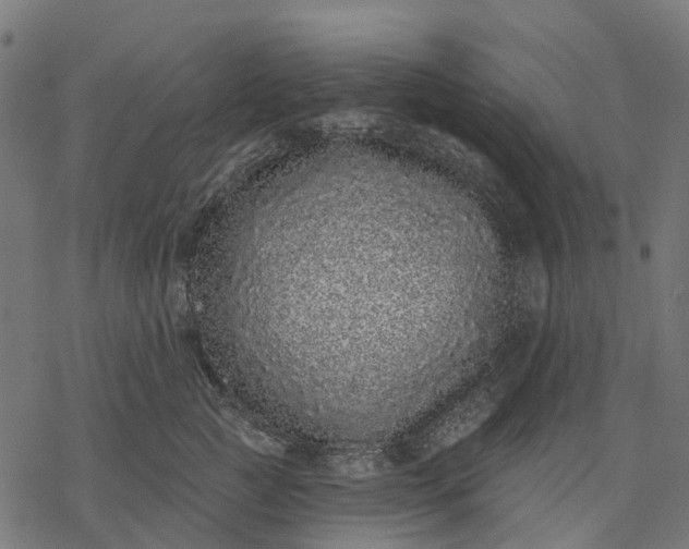 X0000077310761200611031640