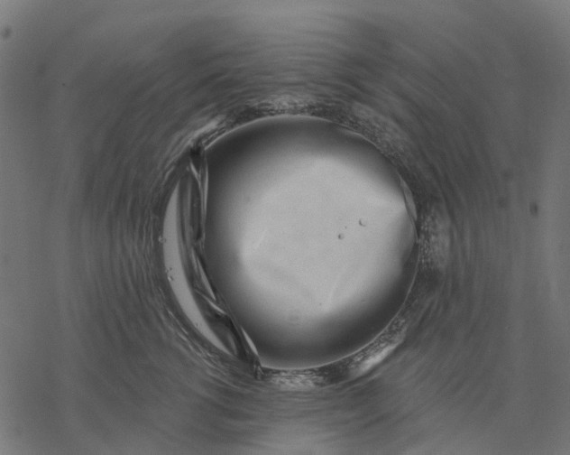 X0000077310762200611031640