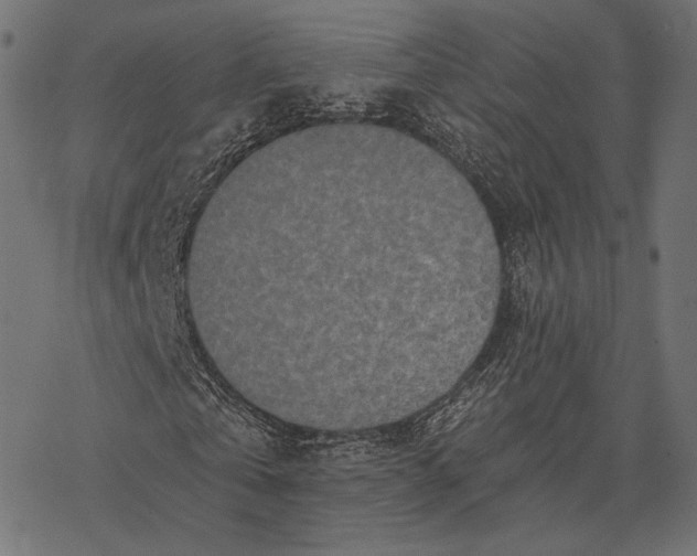 X0000077310769200611031639