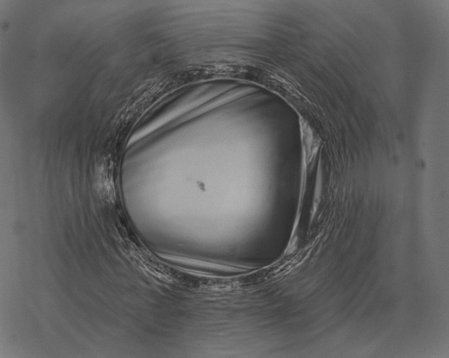 X0000077310771200611031639