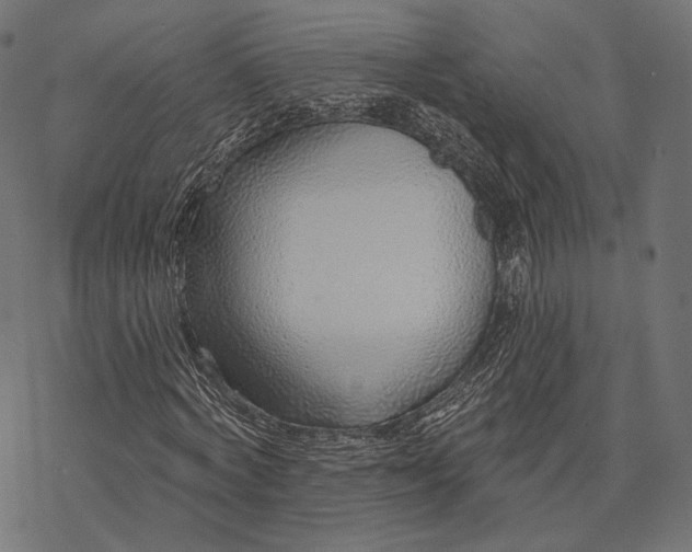 X0000077310772200611031639
