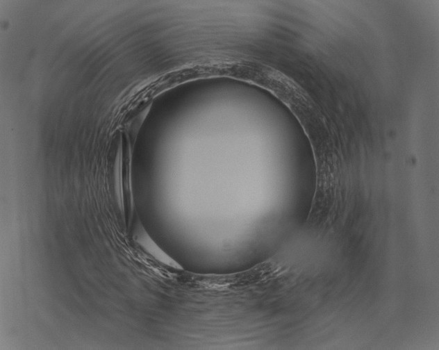 X0000077310773200611031639