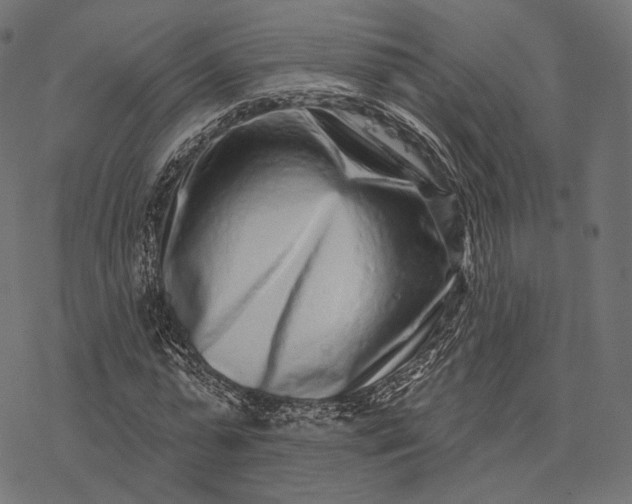 X0000077310775200611031639