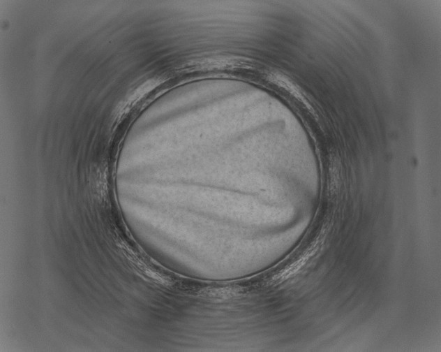 X0000077310778200611031639