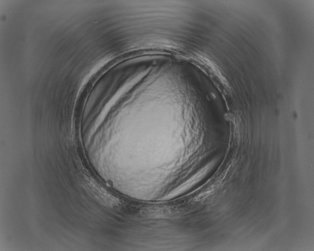 X0000077310780200611031639