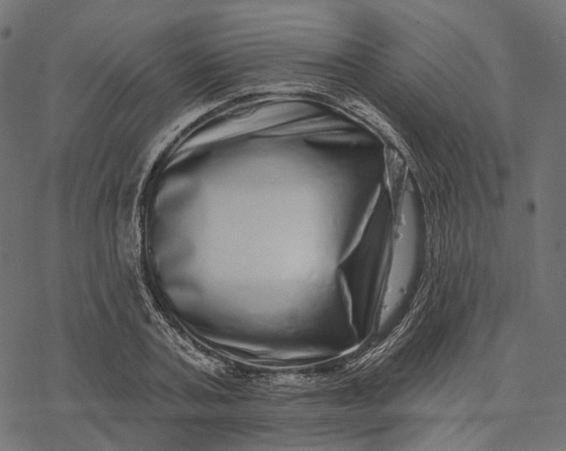 X0000077310787200611031639