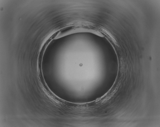 X0000077310788200611031639
