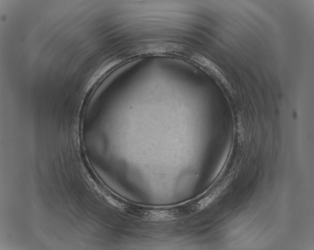 X0000077310794200611031639