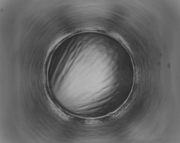 X0000077310795200611031639