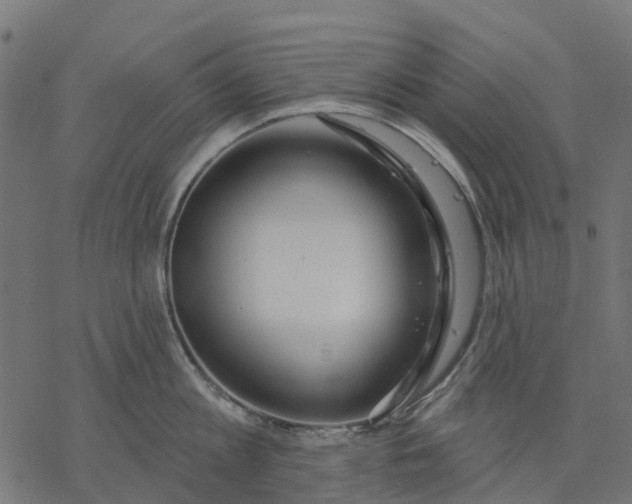 X0000077310813200611031639